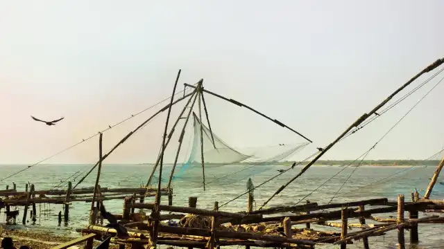 Hotels near Fort Kochi