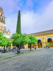 Mosque-Cathedral of Córdoba