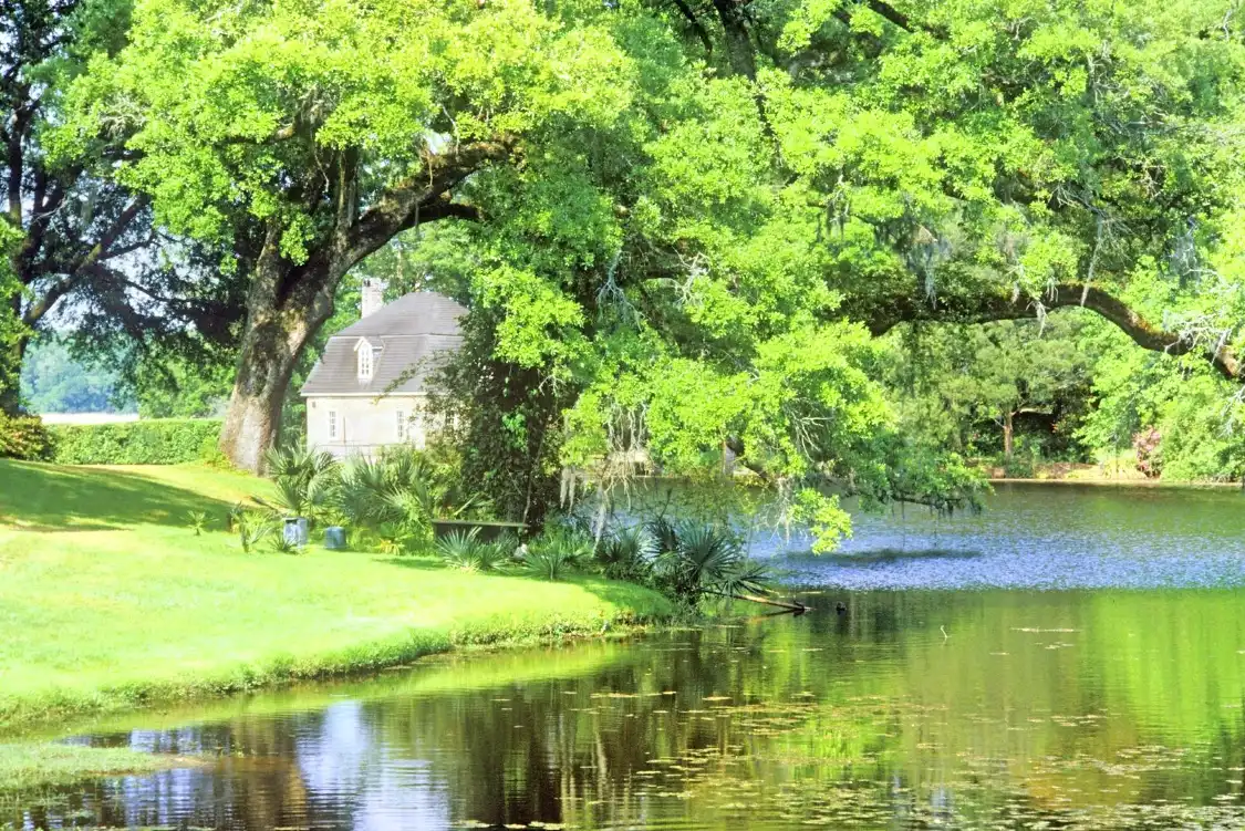 Hotels near Middleton Place