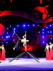 Wuqiao Acrobatics World