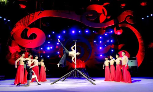 Wuqiao Acrobatics World