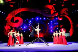 Wuqiao Acrobatics World