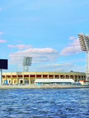 Estadio Petrovsky