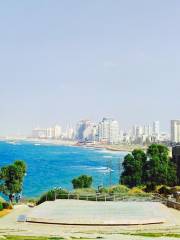 Jaffa Old City