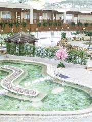 Kangxi Physiotherapy Hot Spring Resort