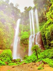 Sekumpul Waterfalls Official Parking