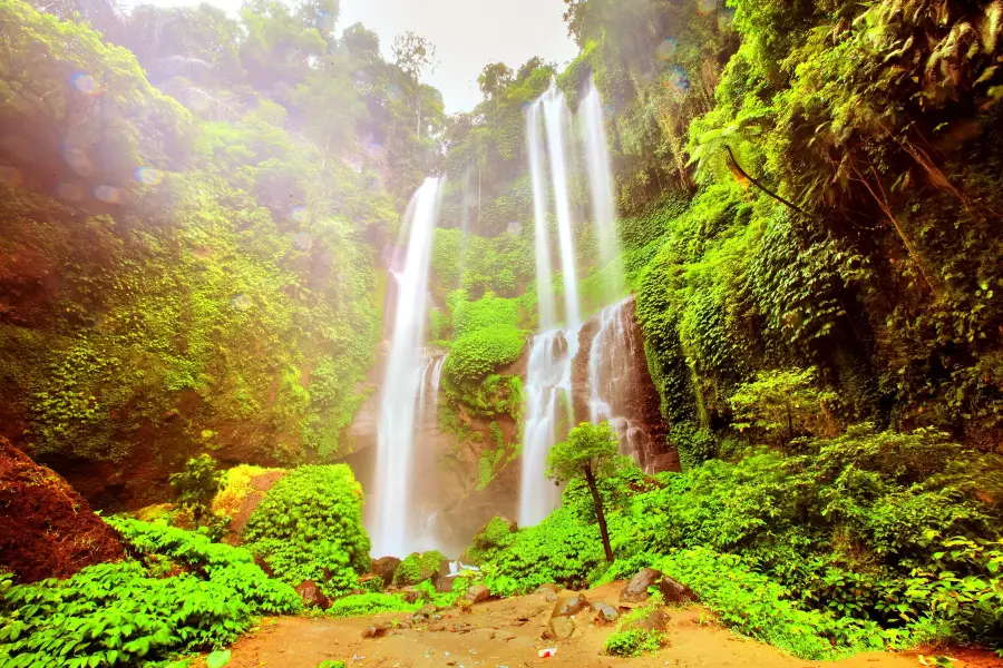 Sekumpul Waterfalls Official Parking