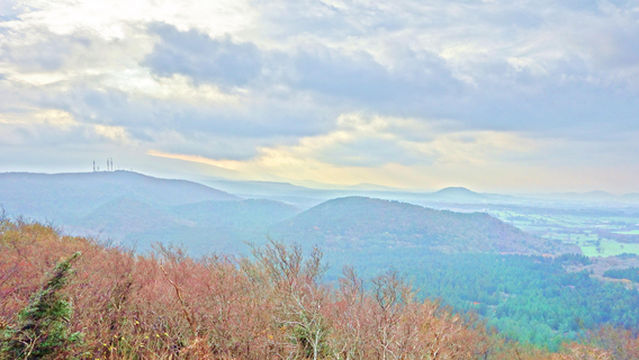 Jeolmul Natural Recreation Forest