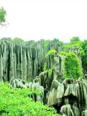 Qingguanding Stone Forest