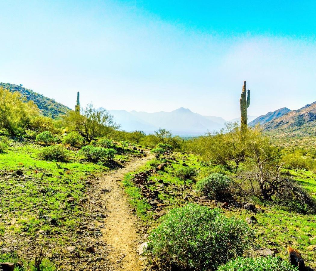 South Mountain