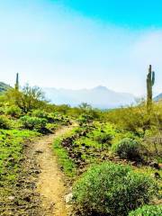 South Mountain Park and Preserve