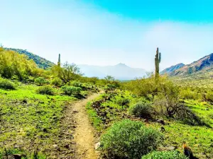 South Mountain Park and Preserve