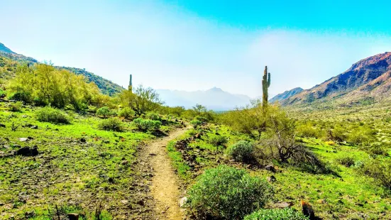 South Mountain Park and Preserve