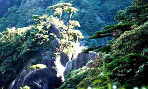 Jewel Paradise Scenic Area