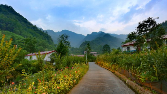 zhu xi xian yang jia ba zong he nong chang