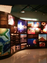 Marine Forest Wetland, Solar Energy Museum of China