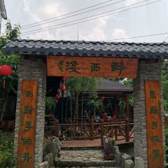 ZUI XI XI NONG JIA GUAN User Photo
