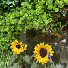 北海道sweets User Photo