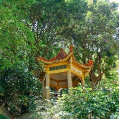 Ting Yue Village | Old Villa Private Home Dishes ảnh của người dùng