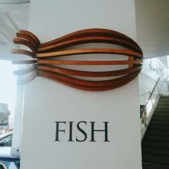 FISH User Photo