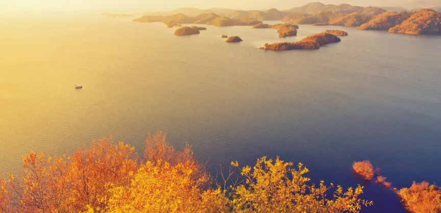 Fall Viewing Attractions