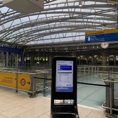 Wondertree User Photo