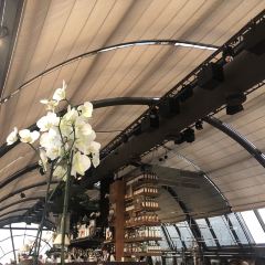 White Rabbit User Photo