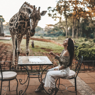 Kenya is one of the most beautiful countries I’ve ever travelled to. We crafted our trip mixing different experiences- Safari, unique hotel stay which was the Giraffe Manor and the encounter with the local culture.

We chose Samburu as our Safari destination which was a perfect choice. After spotting the most unique species we visited the local village and were hosted by the Samburu tribe. 

During our Safari experience we stayed in Sasaab by the Safari Collection which was everything I ever dreamt of. 

The final stop of our trip was a stay in the Giraffe Manor which was just as unique as the picture show!