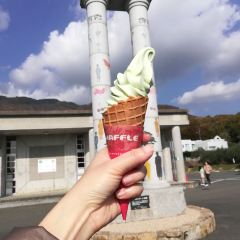 Olive Palace User Photo