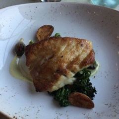 The Optimist張用戶圖片