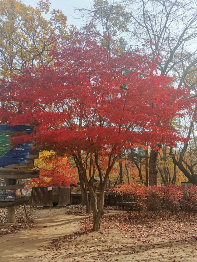 Nami Island