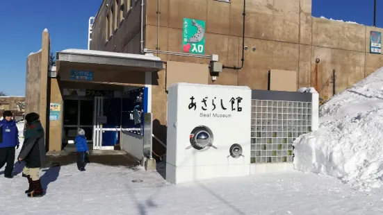 Asahiyama Zoo Seal House Fast Food