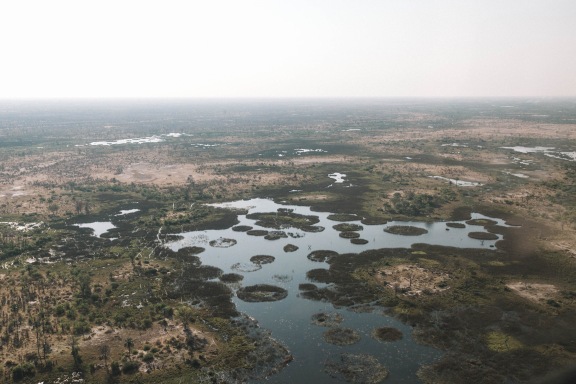 奥卡万戈河 ナガミランド イースト の旅行レビュー Trip Comトラベルガイド