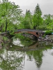 Nantong Horticultural Expo Park