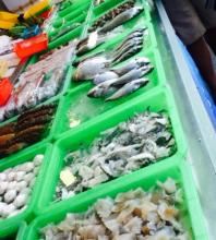 鴨角活海產 User Photo