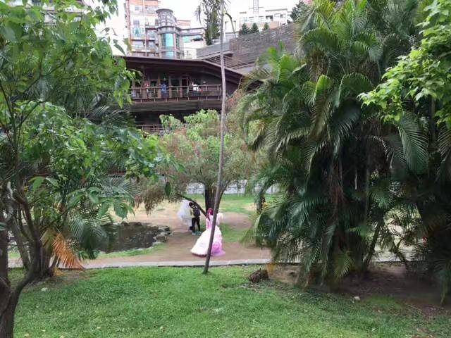 梅庭