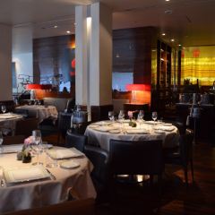 Marea User Photo