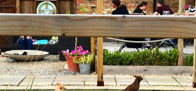 The Feathers Public House and Kitchen
