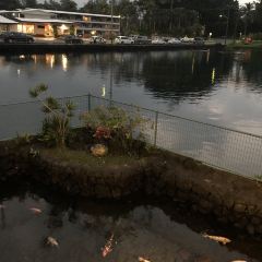Ponds Hilo User Photo