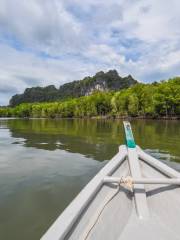 Mangrove Ecological Reserve