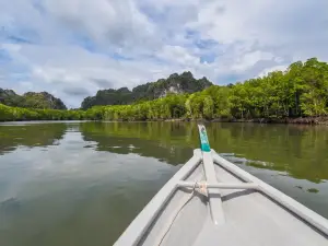 Mangrove Ecological Reserve