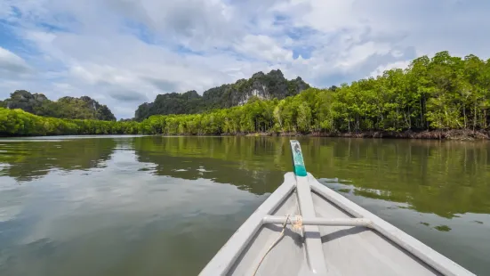 Mangrove Ecological Reserve