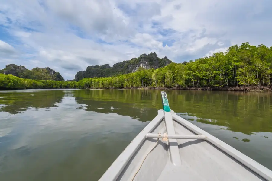 Mangrove Ecological Reserve