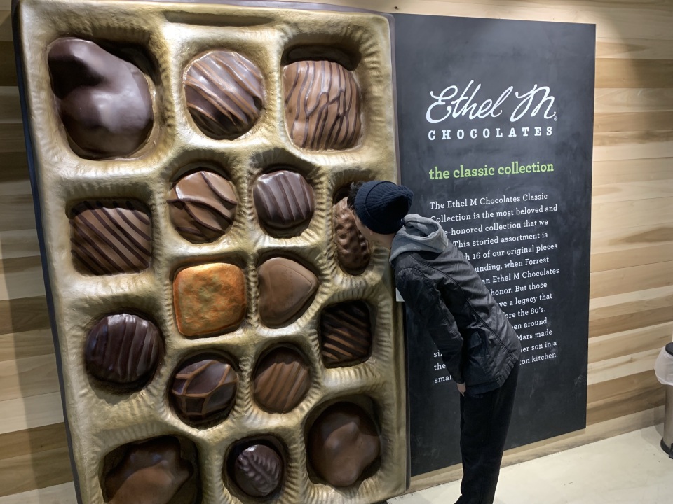 最新】エセル M チョコレーツ・ファクトリー & カクタス・ガーデン