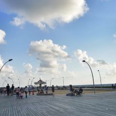 Yulia TLV User Photo