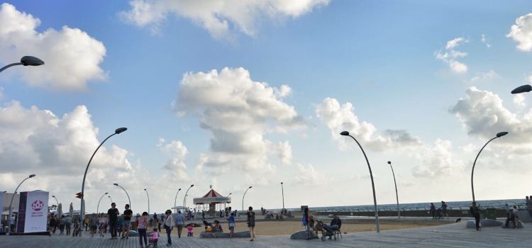 Yulia TLV