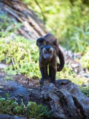 柳岸野生動物保護區