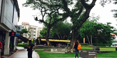 PARK at Holland Village