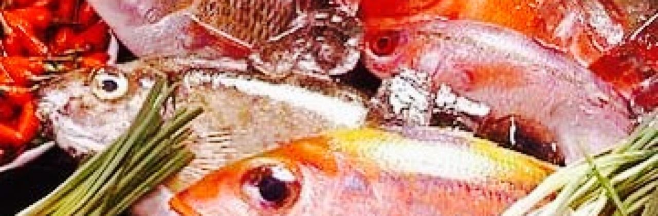 Ryushun Saishoku Doko Toyosaki