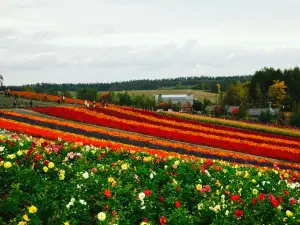 Restaurant Flox Hall (Shikisai no Oka)